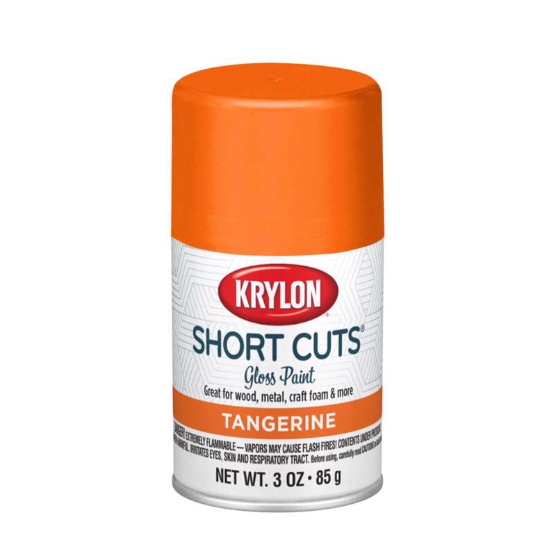 Krylon Short Cuts Gloss Tangerine Spray Paint 3 oz (Pack of 6)