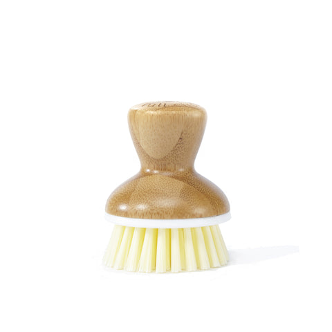 Full Circle Bubble Up 2.36 in. W Medium Bristle 2 in. Bamboo Handle Dish Brush (Pack of 6)