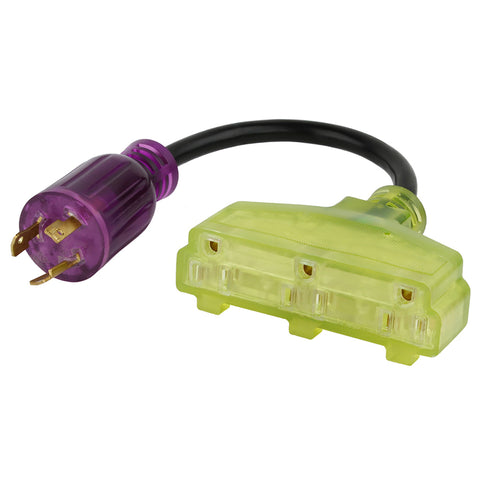Reliance Controls Color Connect 12/3 SJTW 120 V 12 in. L Splitter Cord