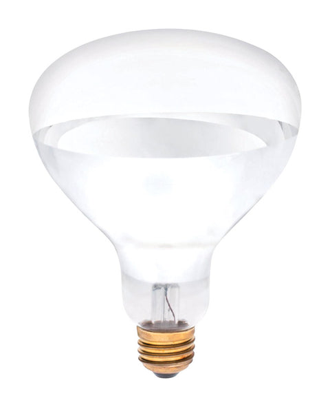 Westinghouse 250 W R40 Reflector Incandescent Bulb E26 (Medium) White 1 pk (Pack of 6)