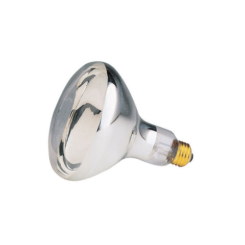 Westinghouse 125 W R40 Reflector/Heat Lamp Incandescent Bulb E26 (Medium) White 1 pk (Pack of 6)