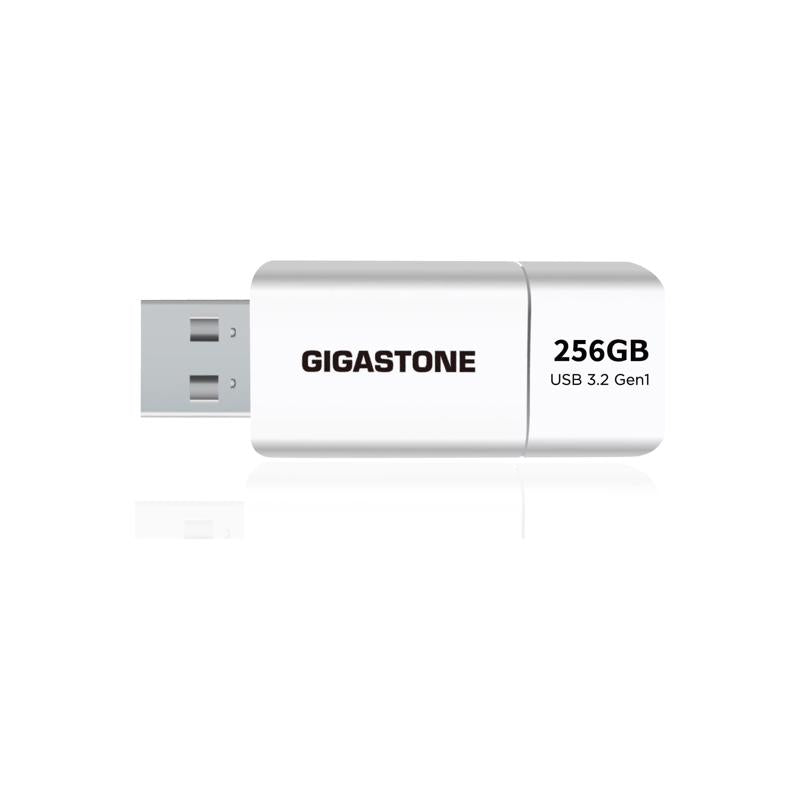 Unidad flash Gigastone de 256 GB, paquete de 1