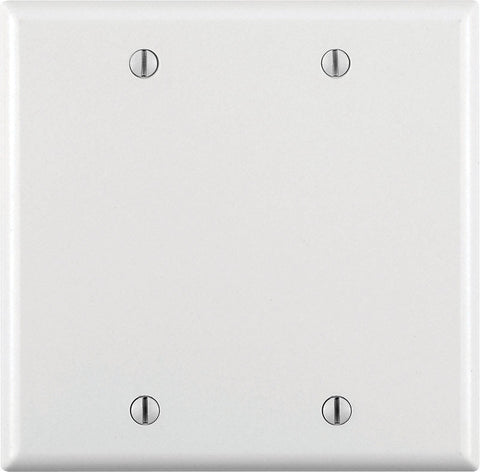 Leviton White 2 gang Plastic Blank Wall Plate 1 pk (Pack of 25)