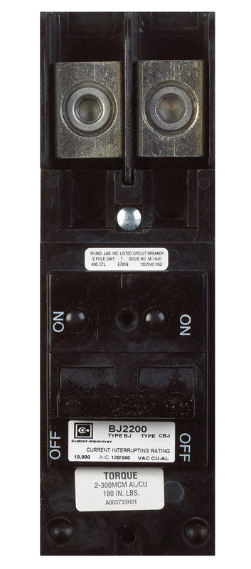 Eaton 200 amps Plug In 2-Pole Circuit Breaker