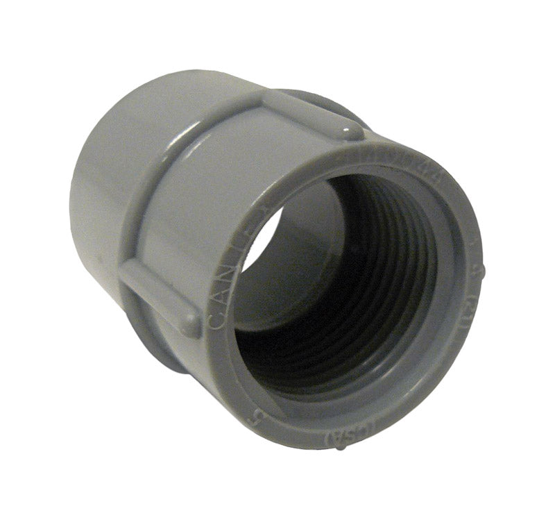 Cantex 1 in. D PVC Female Adapter For PVC 1 pk (Pack of 10)