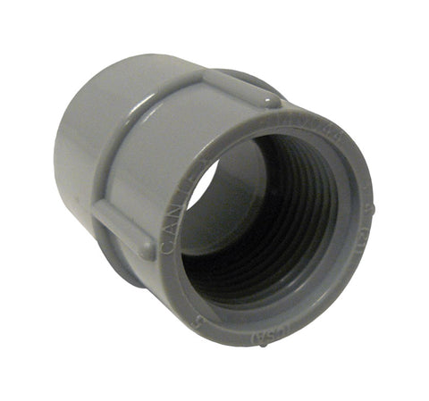 Cantex 1 in. D PVC Female Adapter For PVC 1 pk (Pack of 10)