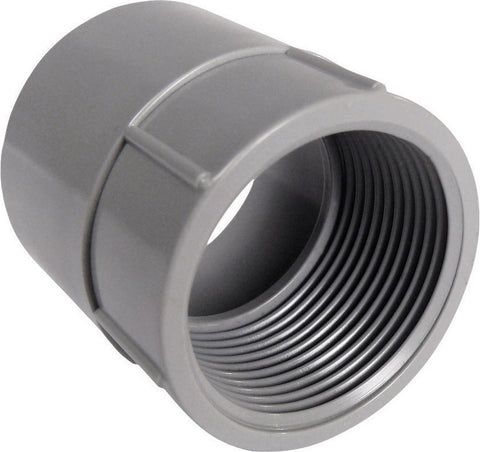 Cantex 2-1/2 in. D PVC Female Adapter For PVC 1 pk