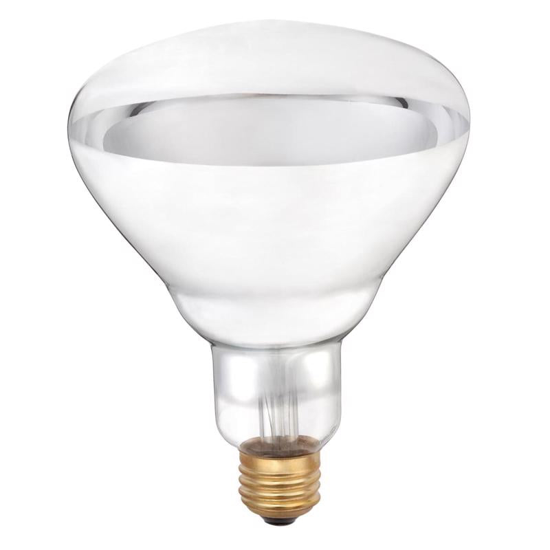 Westinghouse 125 W R40 Heat Lamp Incandescent Light Bulb Medium Base Clear 2 pk