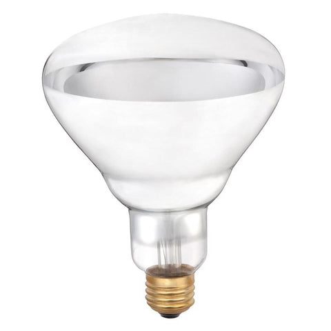 Westinghouse 250 W R40 Heat Lamp Incandescent Light Bulb Medium Base Clear 2 pk