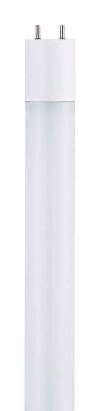 Westinghouse T8 G13 (Medium Bi-Pin) LED Bulb Daylight 1 pk (Pack of 10)