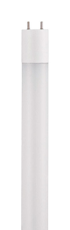 Westinghouse T8 G13 (Medium Bi-Pin) LED Bulb Cool White 1 pk (Pack of 10)