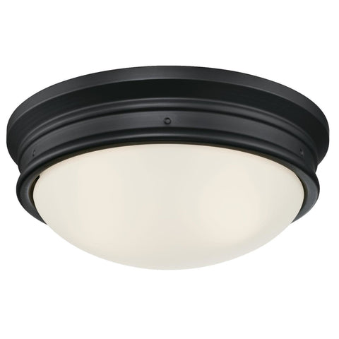 Westinghouse Meadowbrook Switch Incandescent Matte Black Wall Pack Light Fixture Hardwired