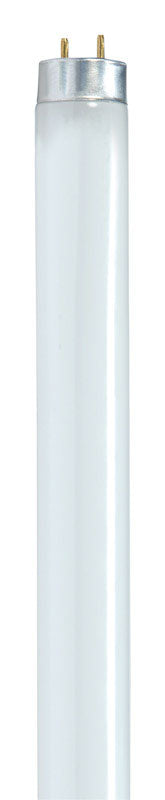 Satco 17 W T8 1 in. D X 23.78 in. L Fluorescent Bulb Cool White Linear 4100 K 1 pk (Pack of 30)