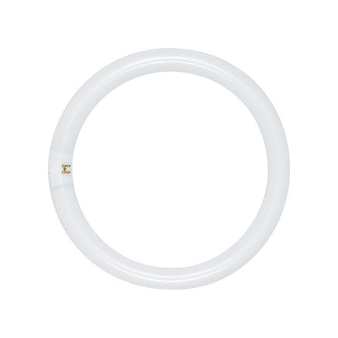 Satco 22 W T9 1.13 in. D X 8 in. L Circline Fluorescent Bulb Daylight Tubular 6500 K 1 pk