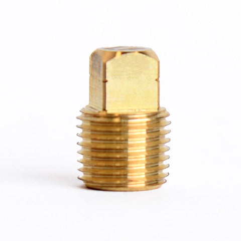 ATC 1/8 in. MPT Brass Square Head Cored Plug (Pack of 5)