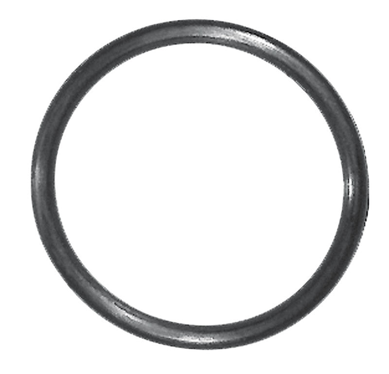 Danco 7/8 in. D X 3/4 in. D #30 Rubber O-Ring 1 pk (Pack of 5)
