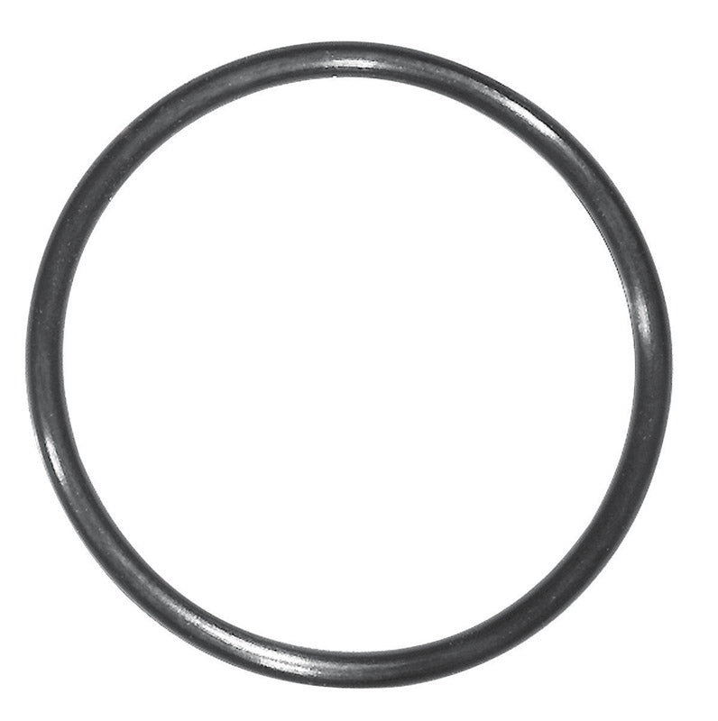 Danco 1-3/4 in. D X 1-9/16 in. D #38 Rubber O-Ring 1 pk (Pack of 5)