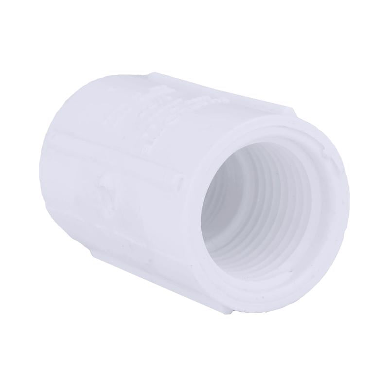 Charlotte Pipe Schedule 40 1/2 in. FPT X 1/2 in. D FPT PVC Coupling 1 pk (Pack of 50)