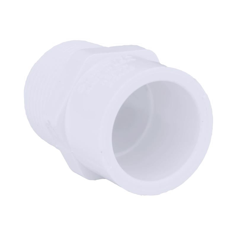 Charlotte Pipe Schedule 40 3/4 in. MPT X 1/2 in. D Slip PVC Pipe Adapter 1 pk (Pack of 25)
