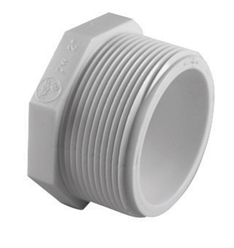Charlotte Pipe Schedule 40 1/2 in. MPT X 1/2 in. D FPT PVC Plug 1 pk (Pack of 25)