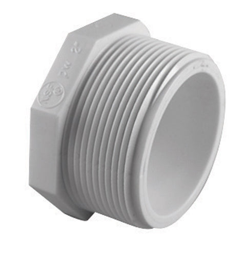 Charlotte Pipe Schedule 40 1 in. MPT X 1 in. D FPT PVC Plug 1 pk (Pack of 25)