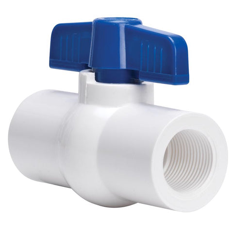 Homewerks 2 in. PVC FIP Ball Valve Full Port Quarter-Turn Lever For Potable Water