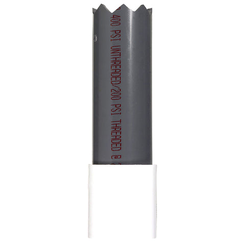 Campbell 2 in. D X 2 in. D Plastic Threaded Check Valve