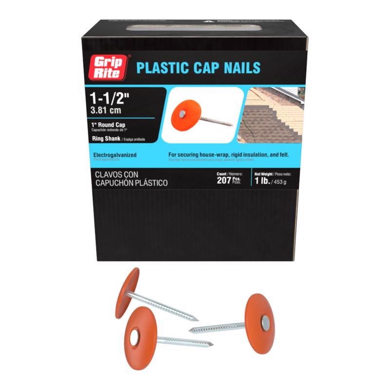 Grip-Rite 12D 1-1/2 in. Roofing Electro-Galvanized Plastic/Steel Nail Plastic Head 1 lb (Pack of 6)