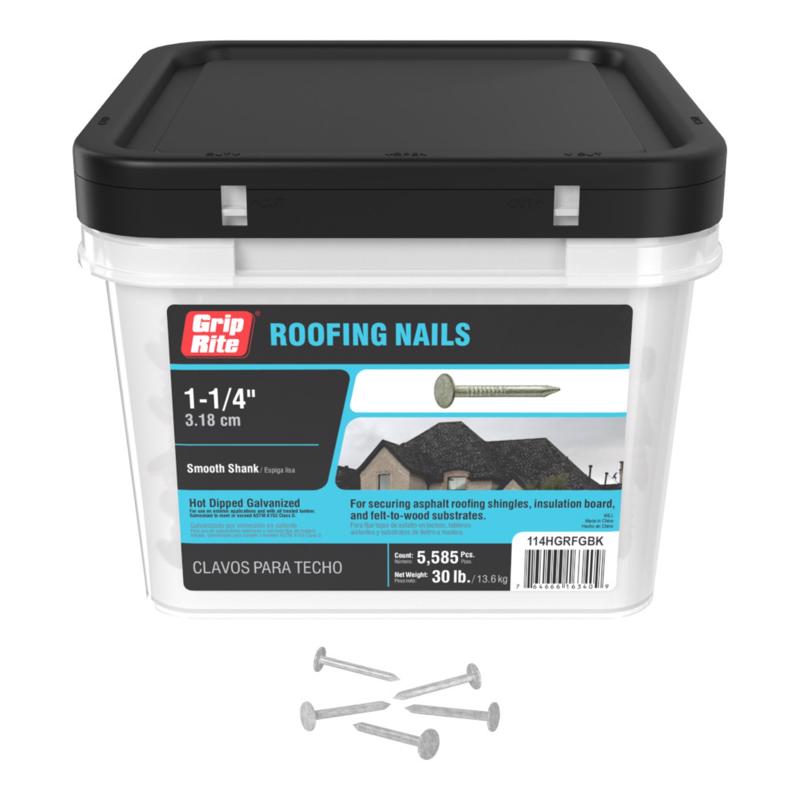 Grip-Rite 1-1/4 in. Roofing Hot-Dipped Galvanized Steel Nail Flat Head 30 lb
