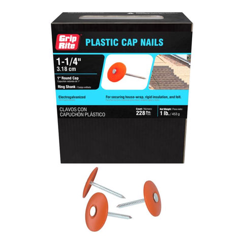 Grip-Rite No. 12 1-1/4 in. Cap Bright Steel Nail Full Round Head 1 lb (Pack of 6)