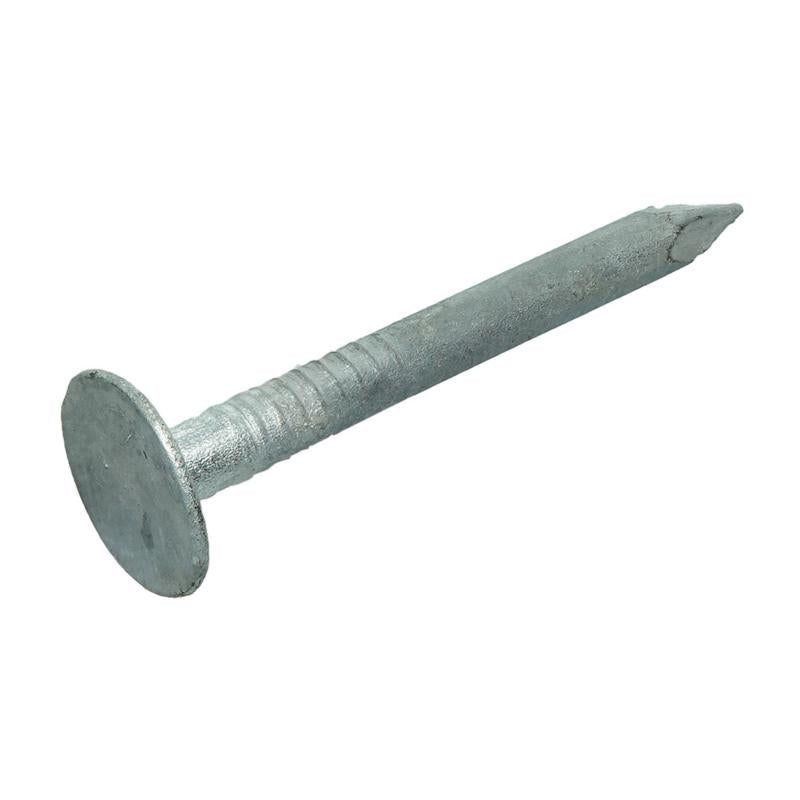 Grip-Rite 1-1/4 in. Roofing Hot-Dipped Galvanized Steel Nail Flat Head 1 lb (Pack of 12)