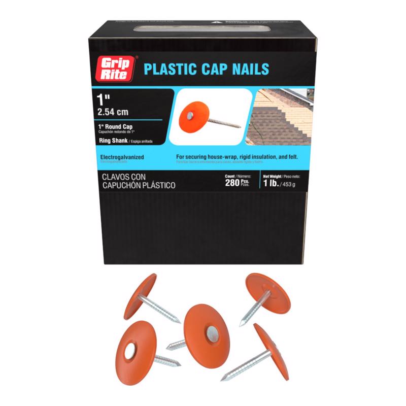 Grip-Rite No. 12 1 in. Cap Electro-Galvanized Steel Nail Plastic Head 1 lb