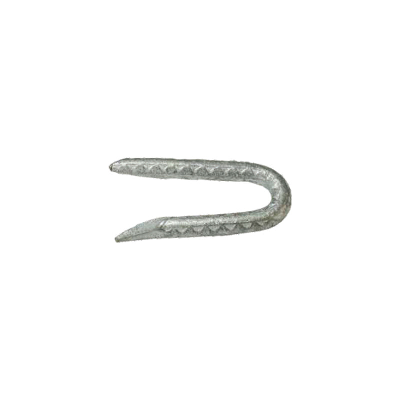Grip-Rite 1/4 in. W X 2-1/2 in. L Galvanized Steel Fence Staples 9 Ga. 5 lb (Pack of 6)
