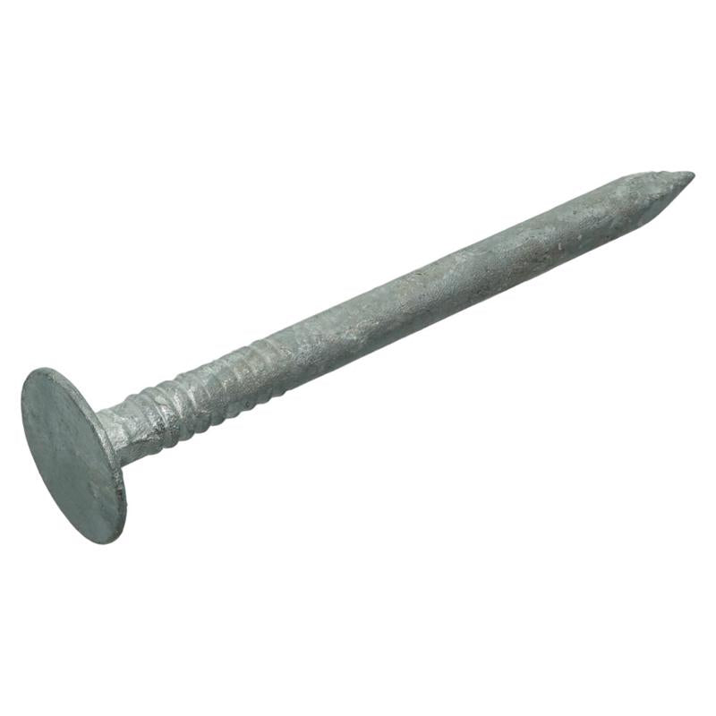 Grip-Rite 1-3/4 in. Roofing Hot-Dipped Galvanized Steel Nail Flat Head 1 lb (Pack of 12)