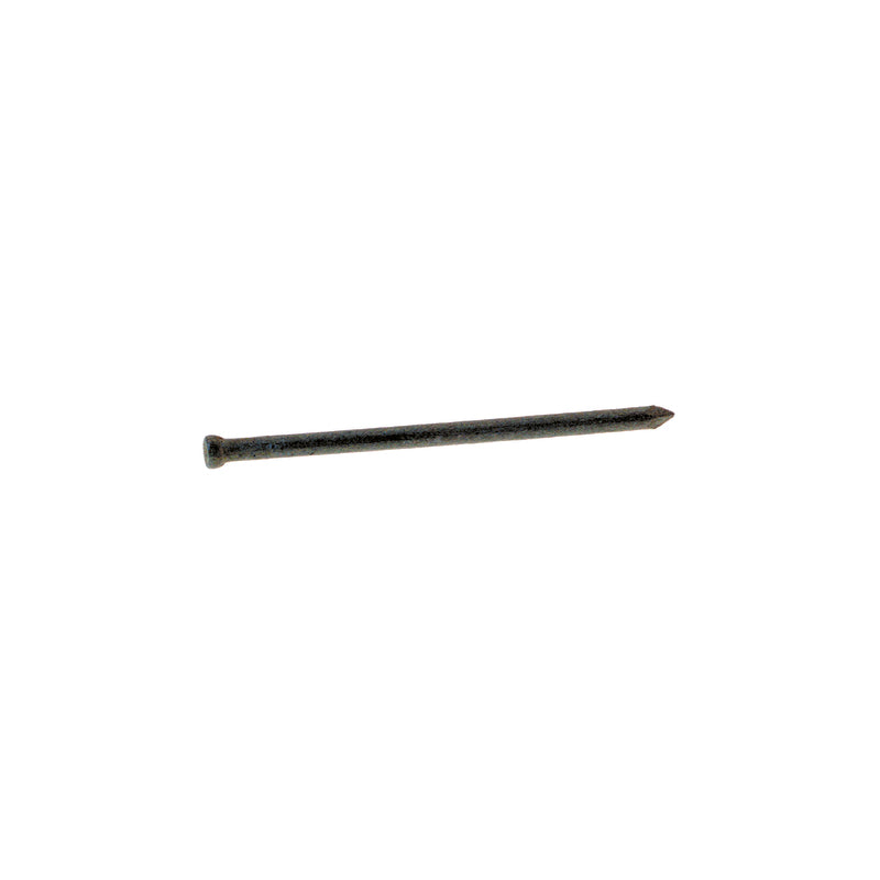 Grip-Rite 10D 3 in. Finishing Hot-Dipped Galvanized Steel Nail Brad Head 5 lb (Pack of 6)