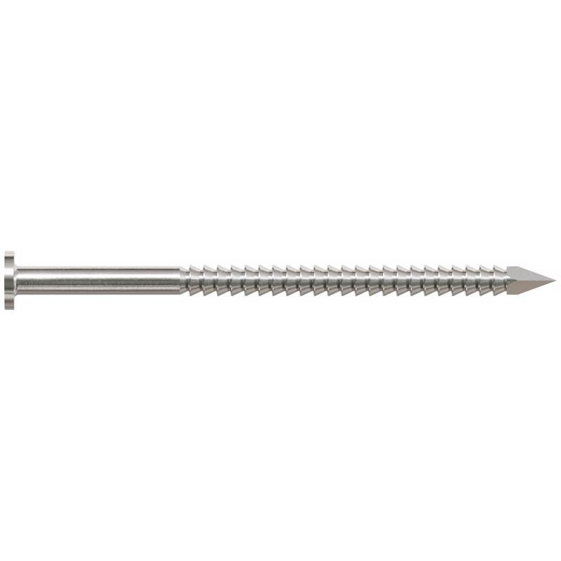 Simpson Strong-Tie 8D 2-1/2 in. Common Stainless Steel Nail Round Head 1 lb