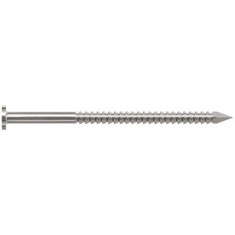 Simpson Strong-Tie 8D 2-1/2 in. Common Stainless Steel Nail Round Head 1 lb