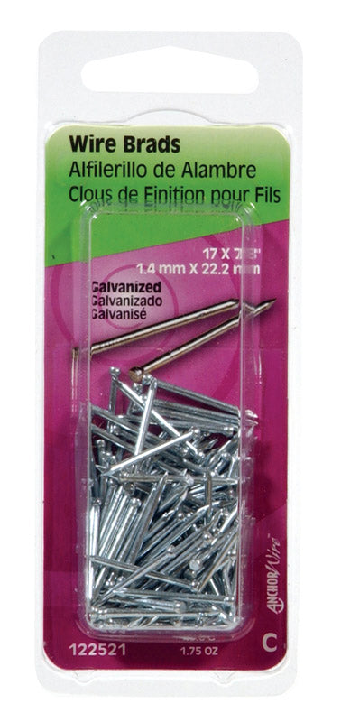 HILLMAN 17 Ga. X 7/8 in. L Electro Galvanized Steel Brad Nails 1 pk 1.75 oz (Pack of 6)