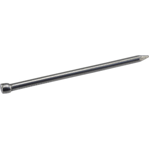 HILLMAN 6D 2 in. Finishing Polished Steel Nail Large Head (Pack of 6)
