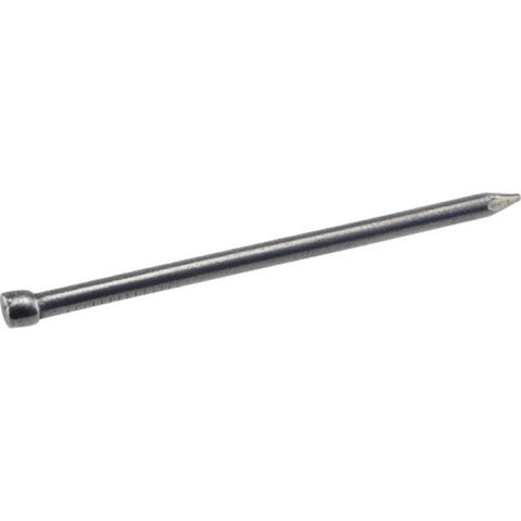HILLMAN 8D 2-1/2 in. Finishing Bright Steel Nail Brad Head (Pack of 6)