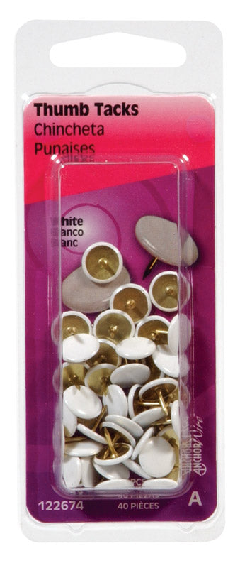 HILLMAN 5/16 in. L White Steel Thumb Tacks 40 pk (Pack of 6)