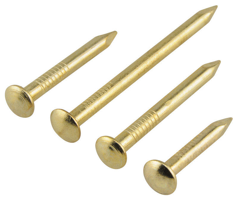 HILLMAN 1 in. Bendless Brass-Plated Steel Nail Oval Head (Pack of 12)