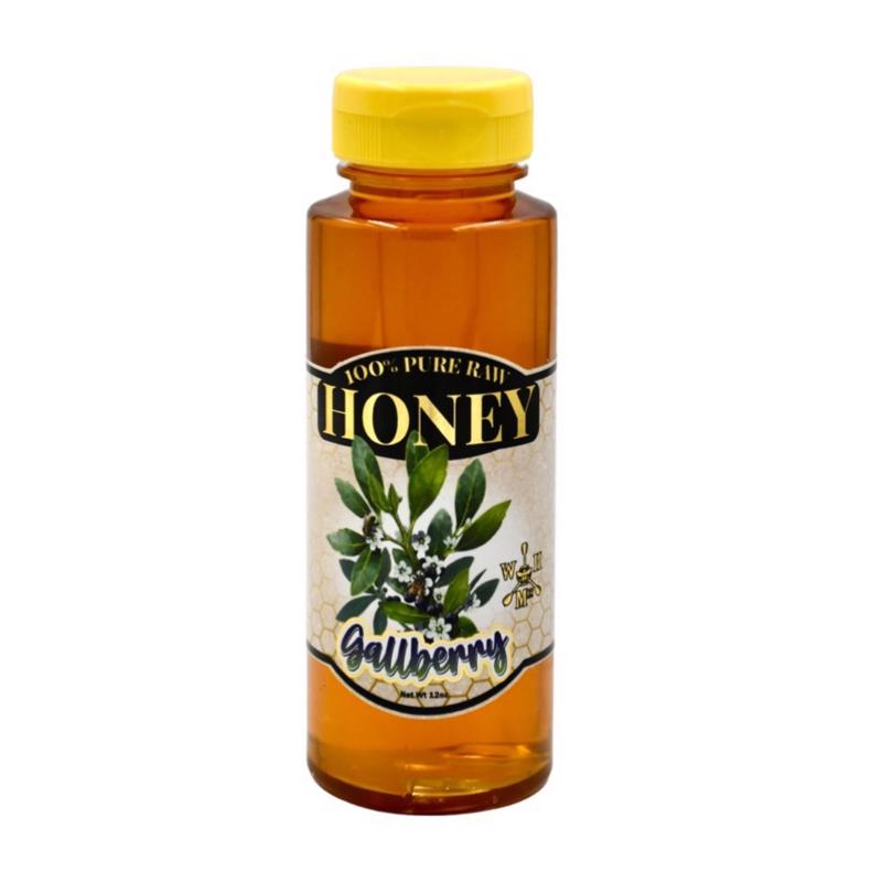 World Honey Market Gallberry Honey 12 oz Bottle (Pack of 12)