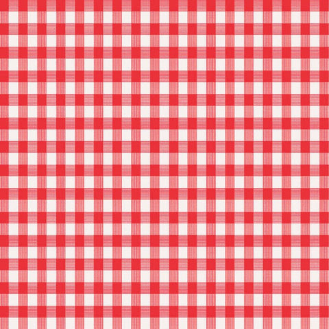 Magic Cover Red/White Checkered Vinyl Disposable Tablecloth 70 in. L X 52 in. W