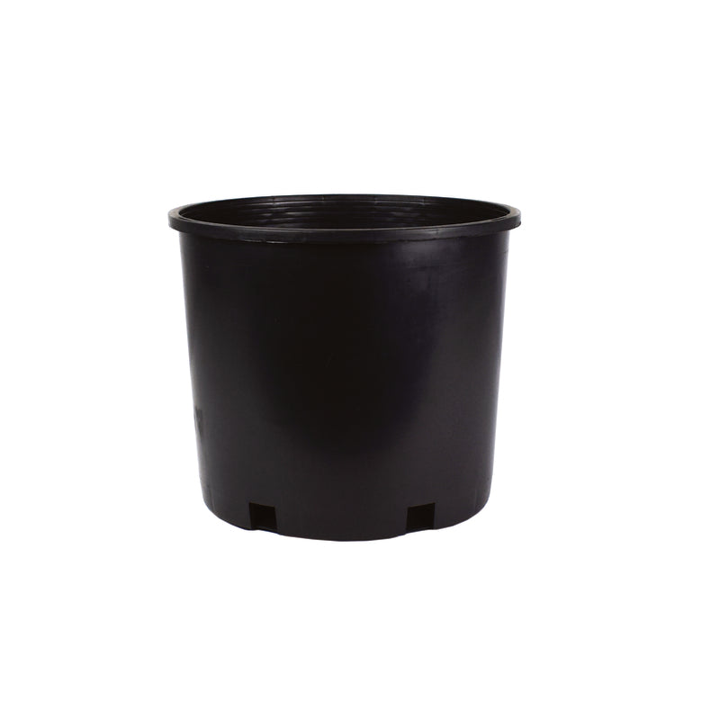 HC Companies Squat 10.25 in. H X 12 in. W X 12 in. D X 12 in. D Plastic Modern Nursery Container Bla