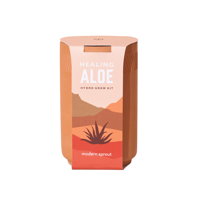 Modern Sprout Healing Aloe Succulent Seed Starter Kit (Pack of 6)