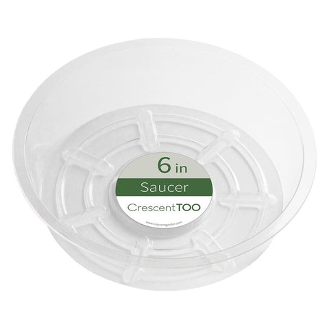 Crescent Garden 2 in. H X 6 in. D Plastic Plant Saucer Clear (Pack of 50)