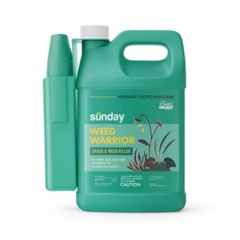 Sunday Weed and Grass Killer RTU Liquid 1 gal (Pack of 3)