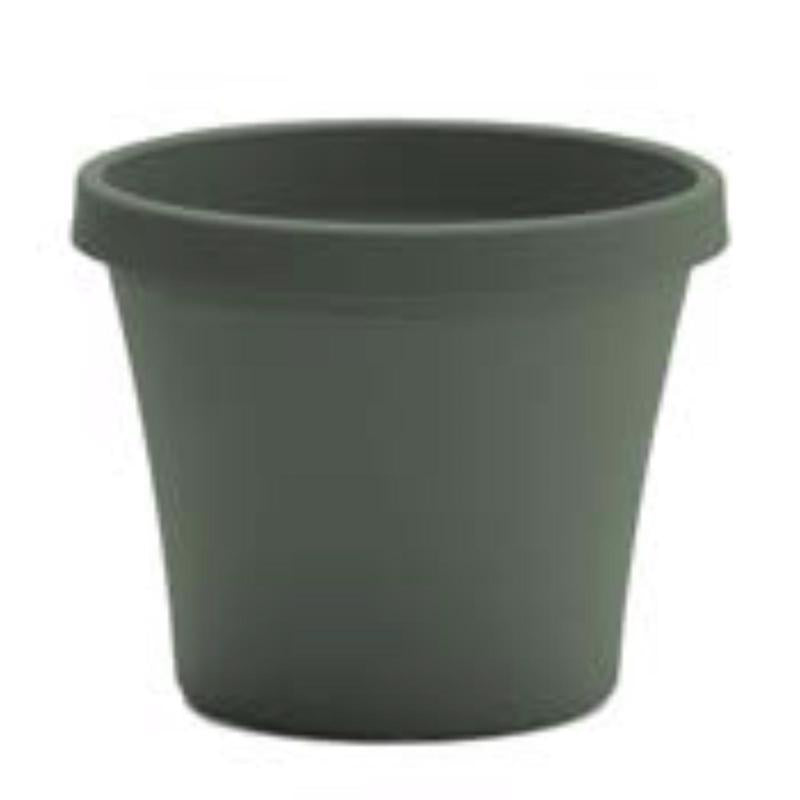 Bloem Terra 7.25 in. H X 8.75 in. W X 6 in. D Plastic Traditional Planter Basil