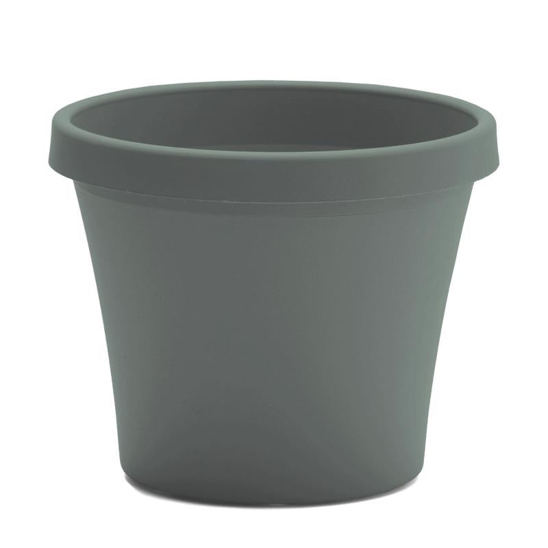 Bloem Terra 10.75 in. H X 13 in. W X 9 in. D Plastic Traditional Planter Basil